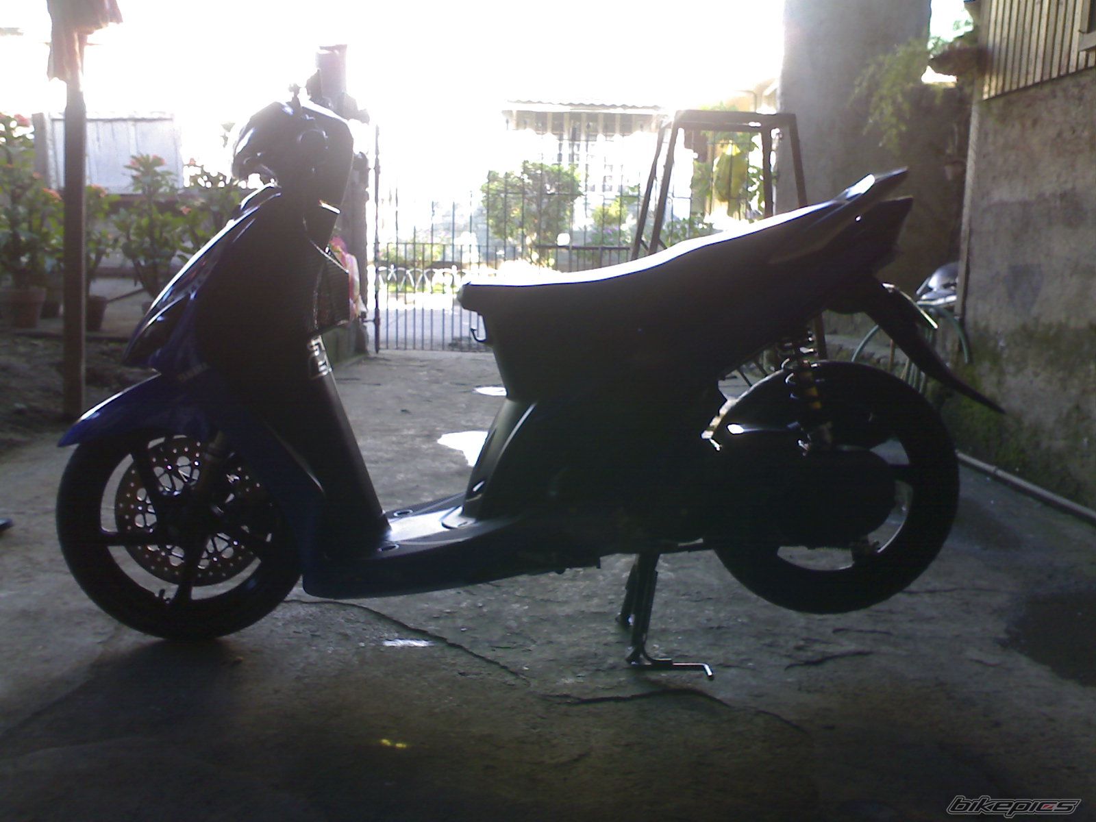 Photo 1497365