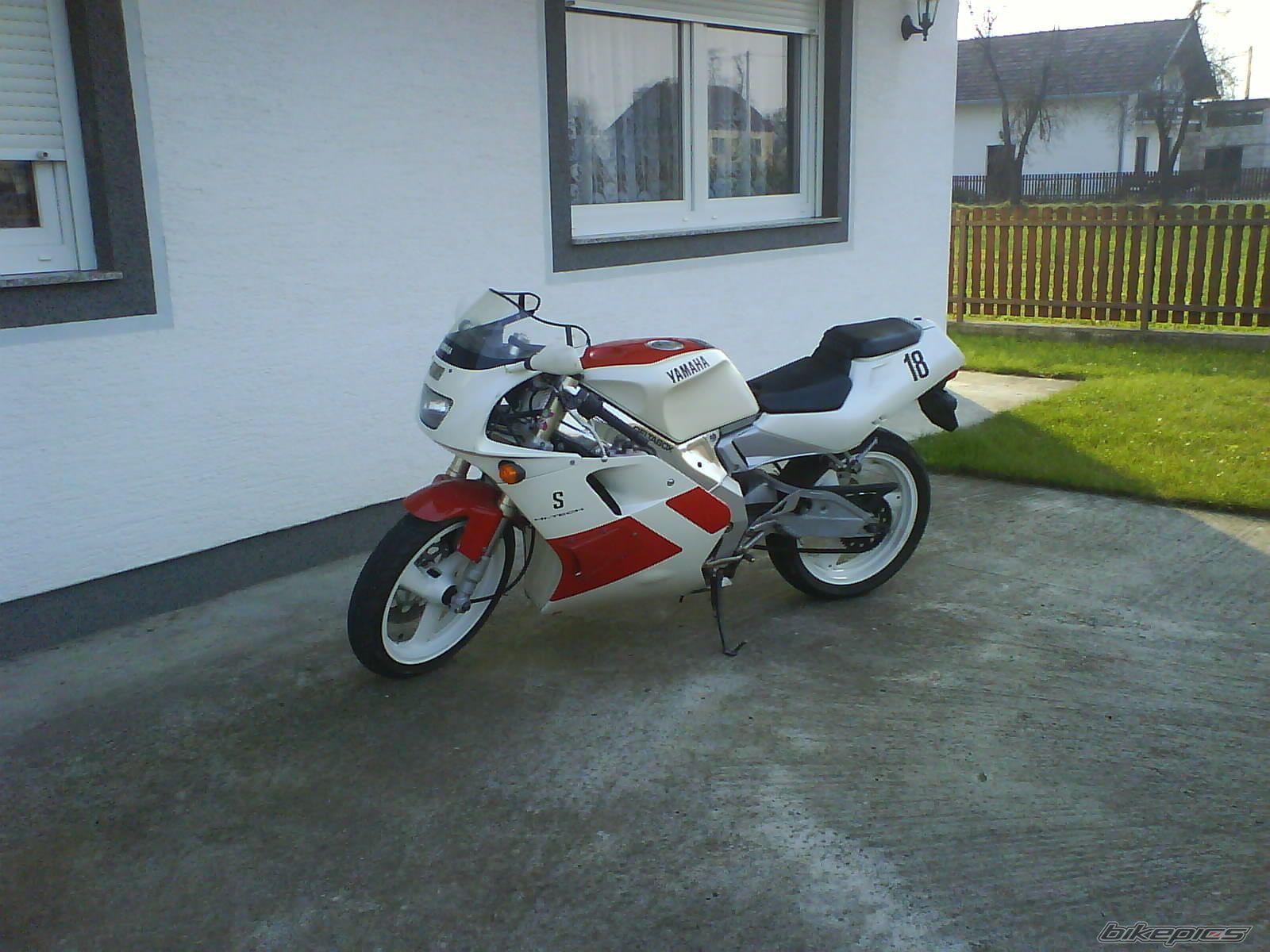 Photo 1497402