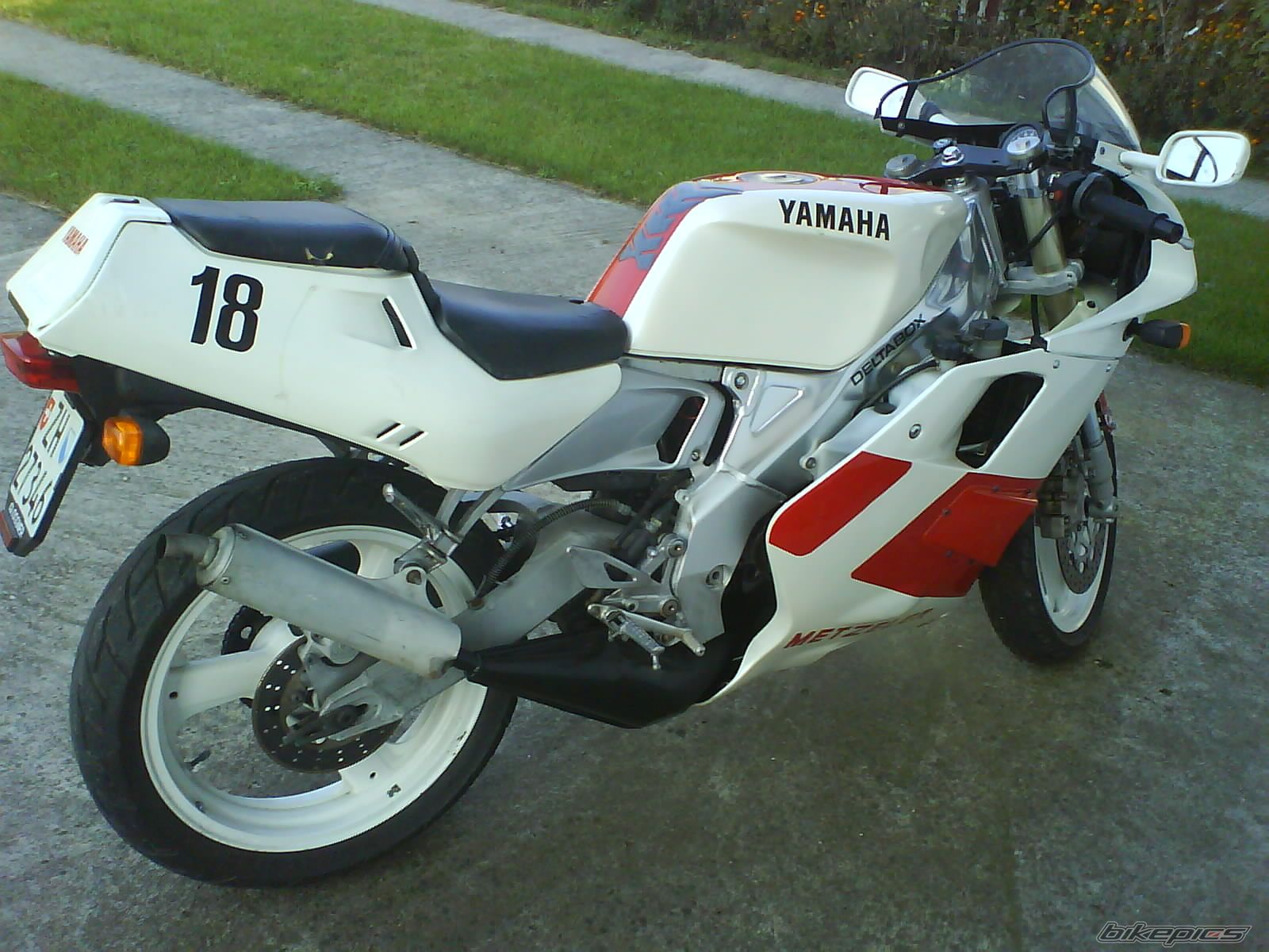 Photo 1497405