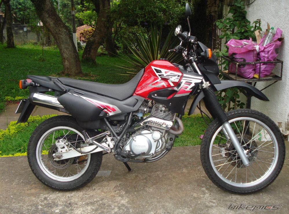 Photo 1497455