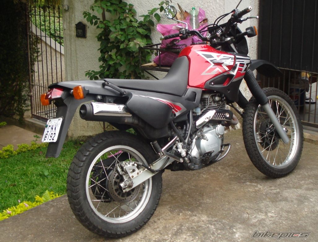 Photo 1497456