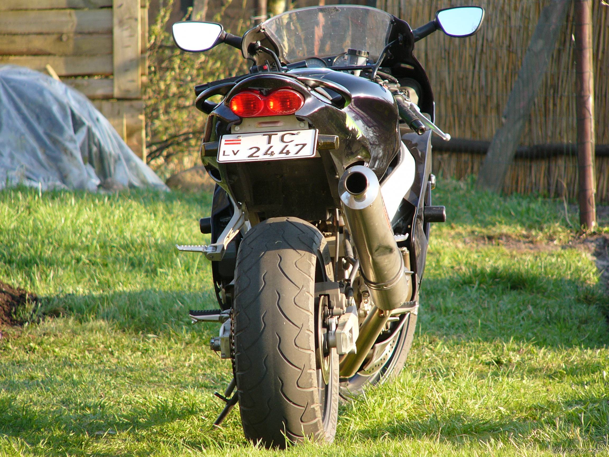 Photo 149764