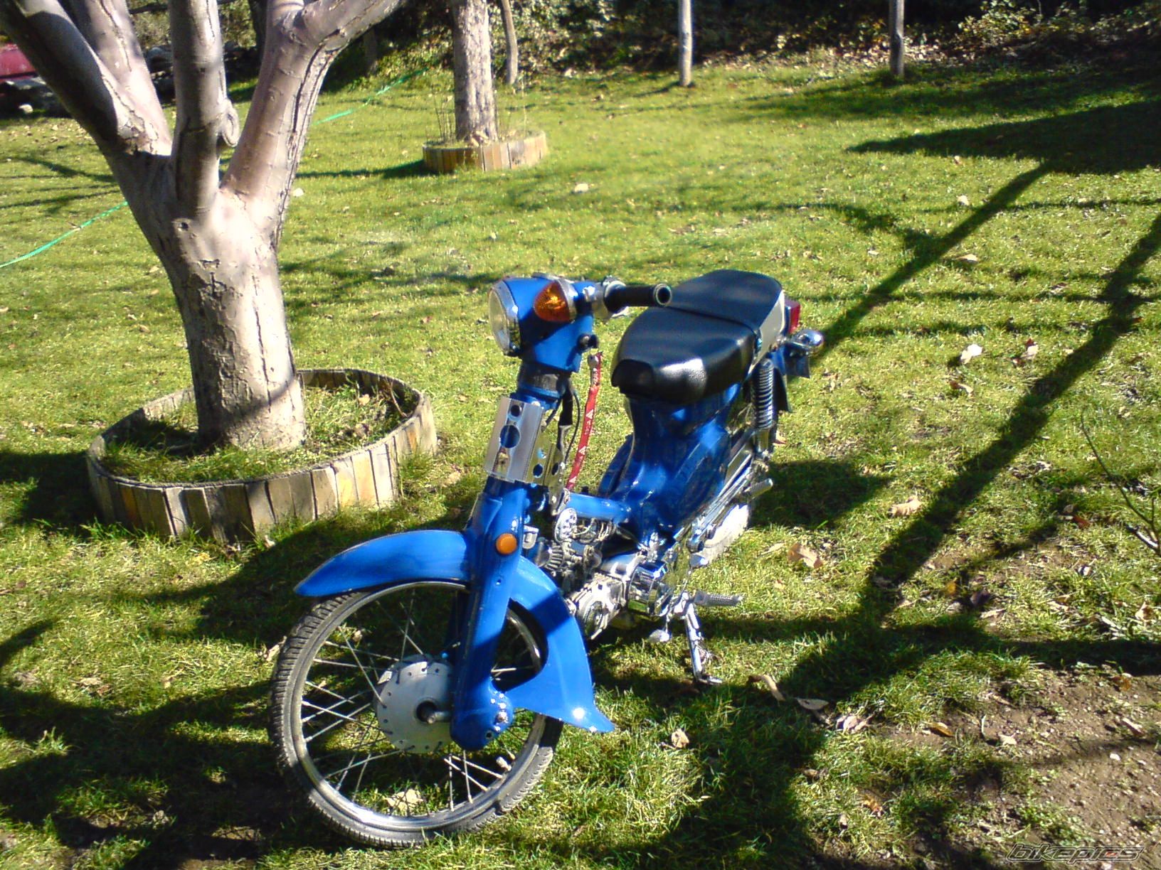 Photo 1497748