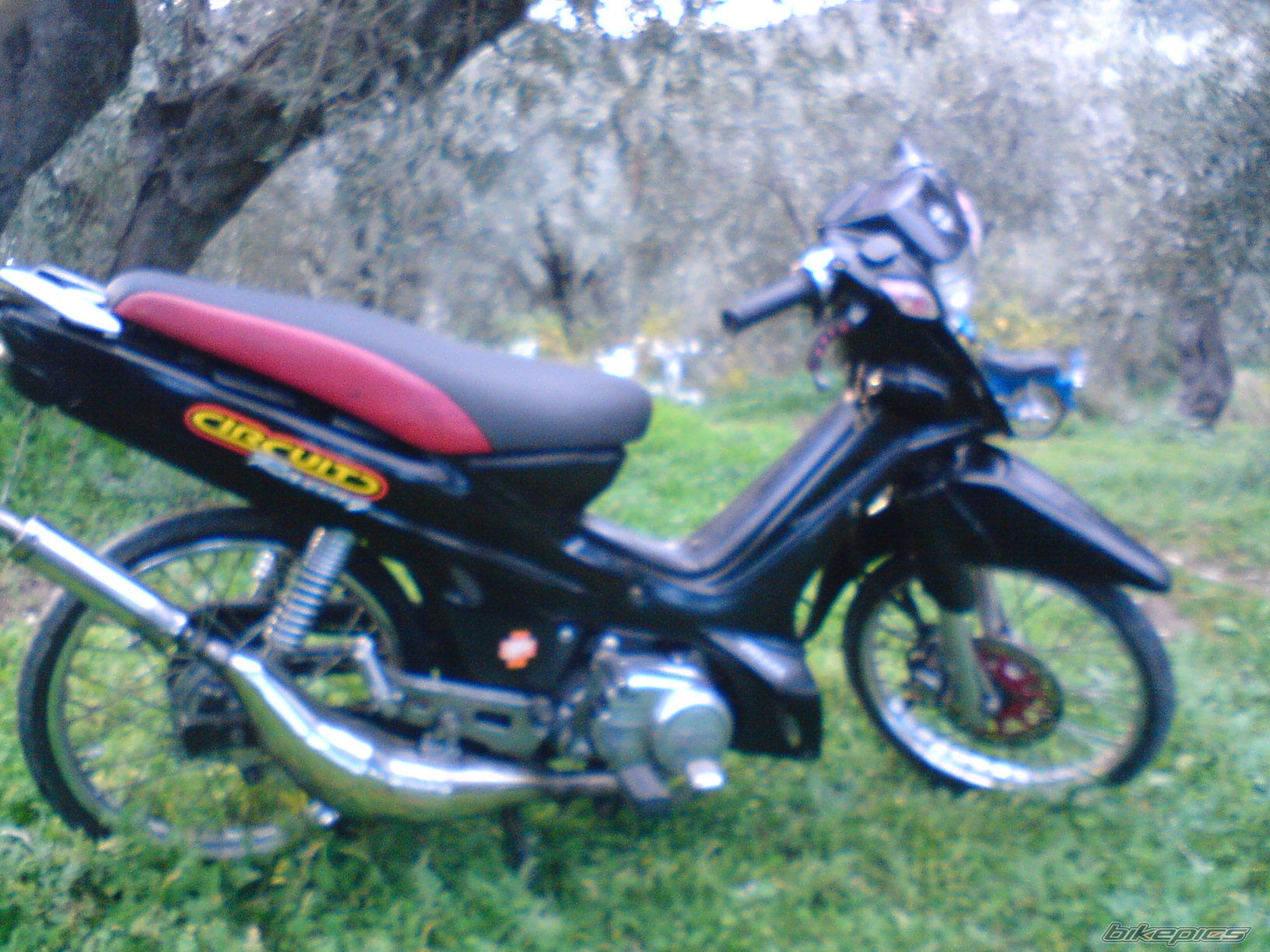 Photo 1497754