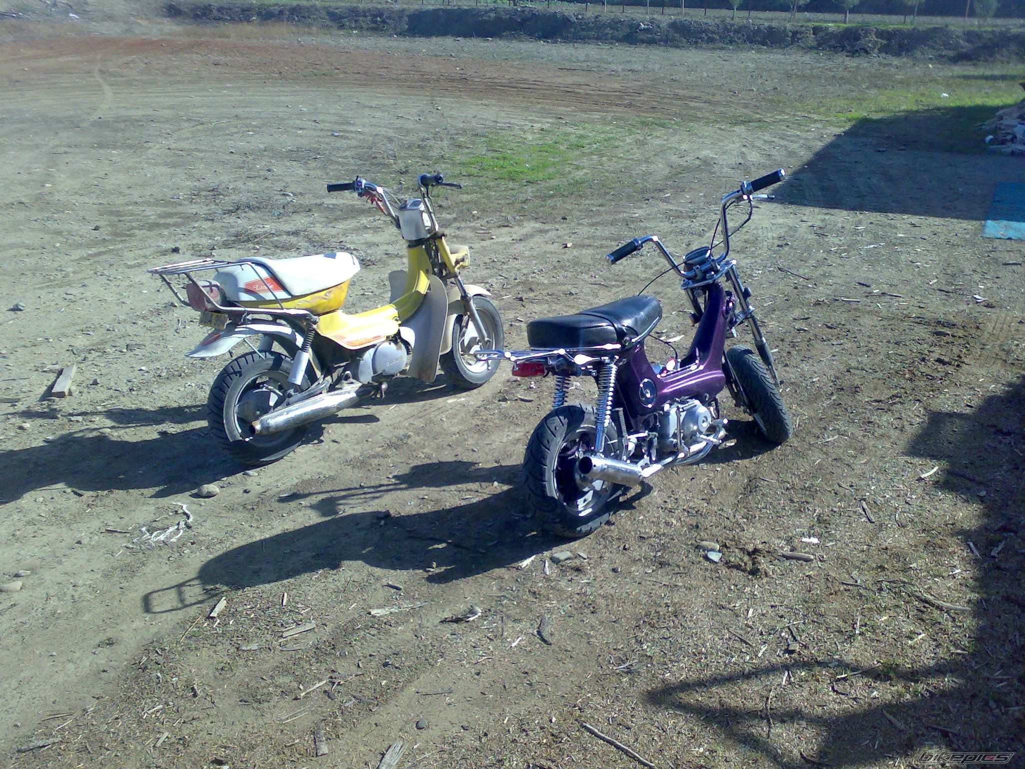 Photo 1497760