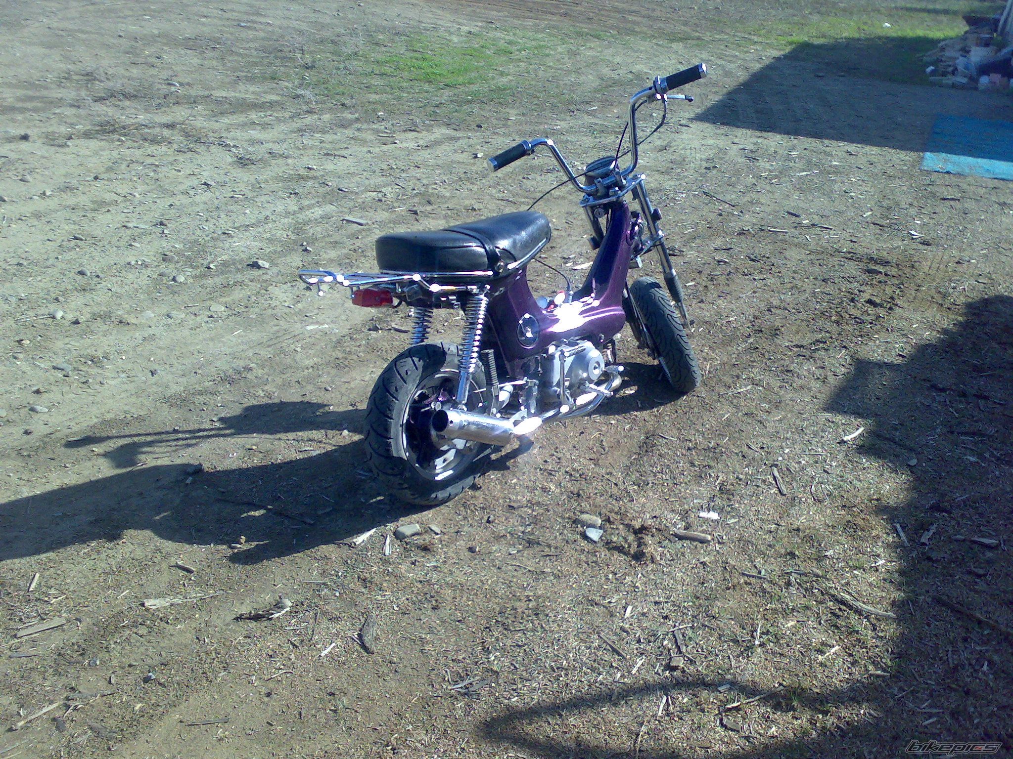 Photo 1497767