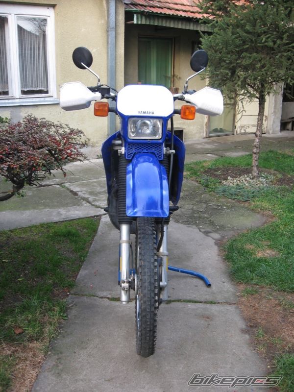 Photo 1497831