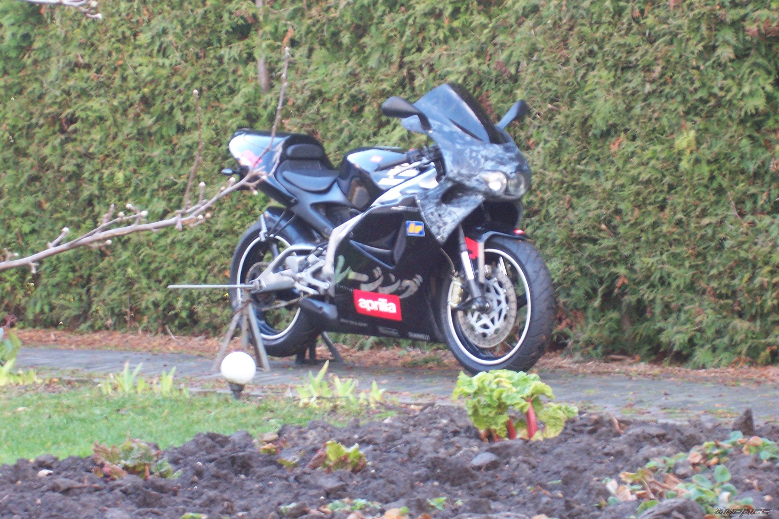 Bike Photo 1497884