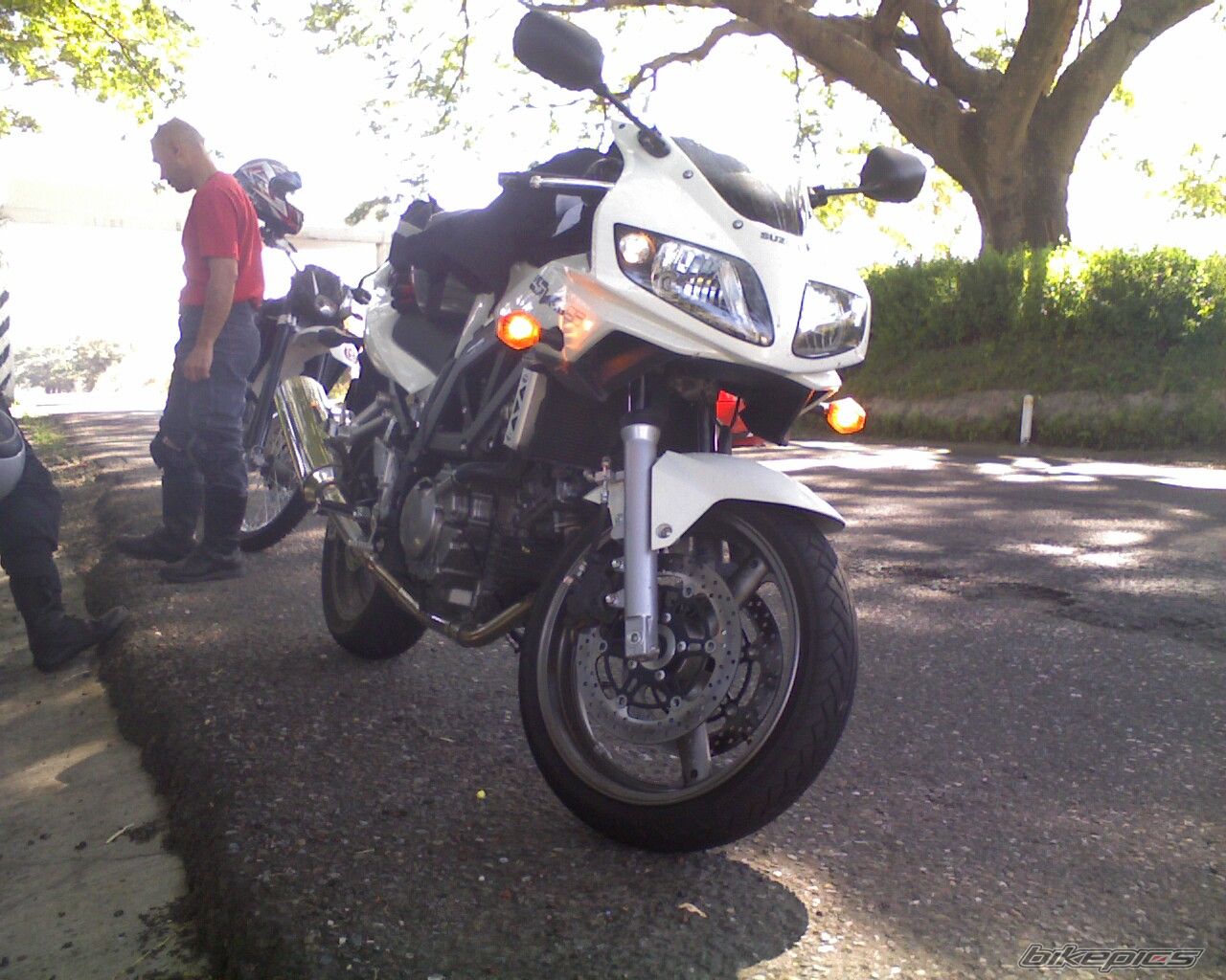 Photo 1497902