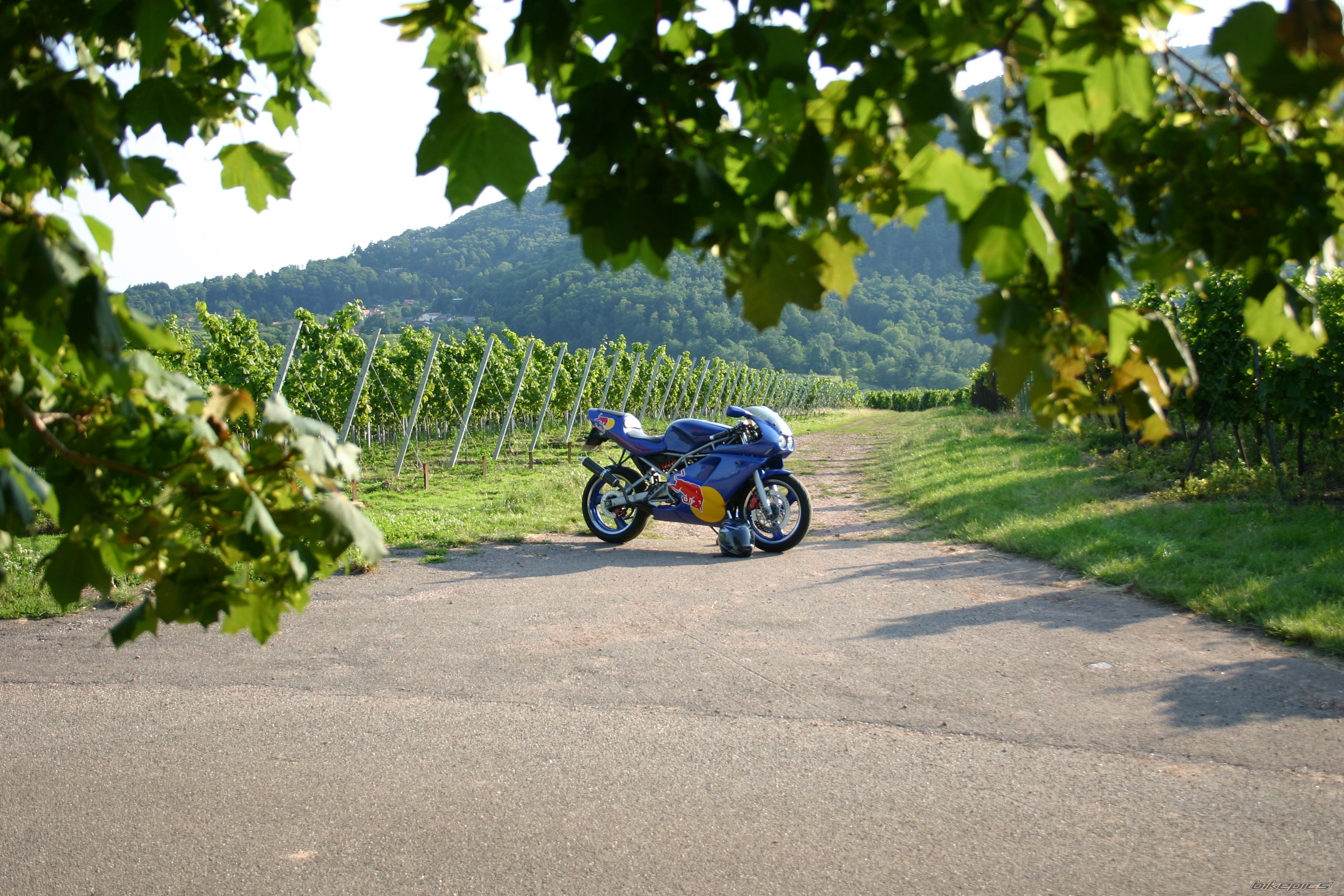 Bike Photo 1497906