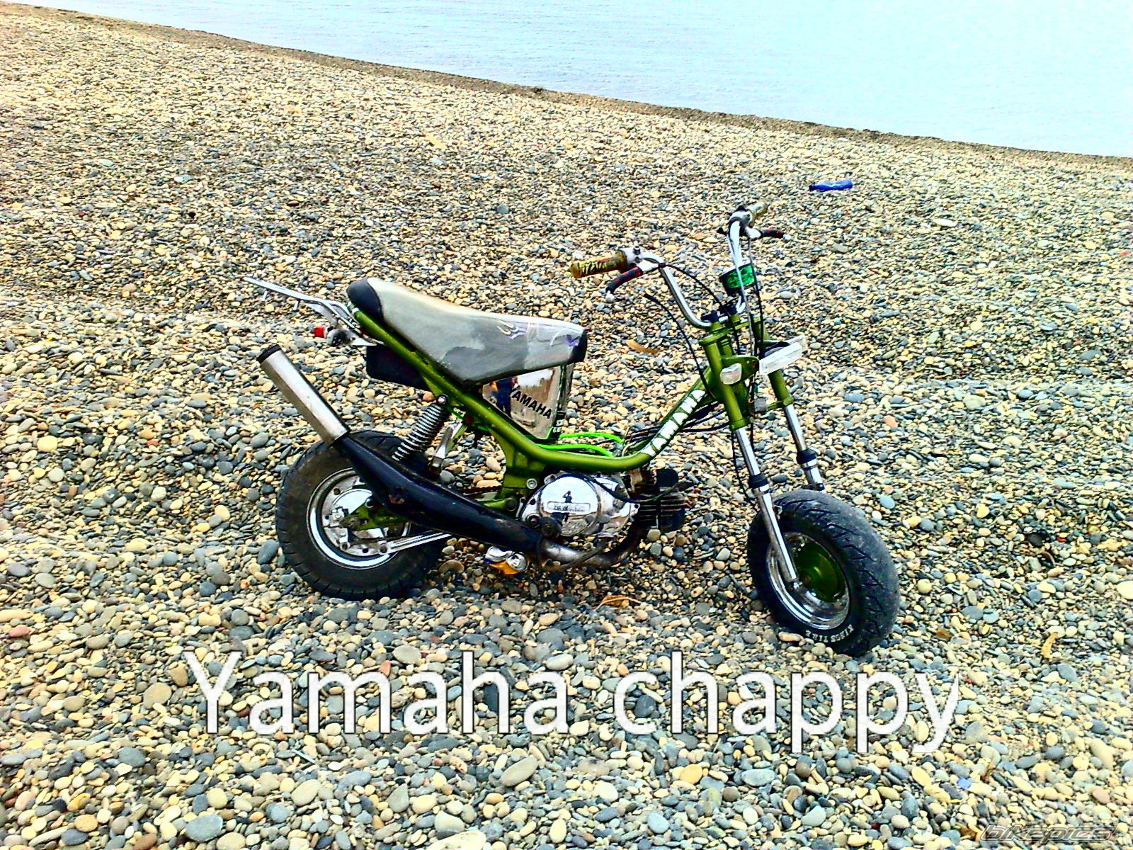 Photo 1497989