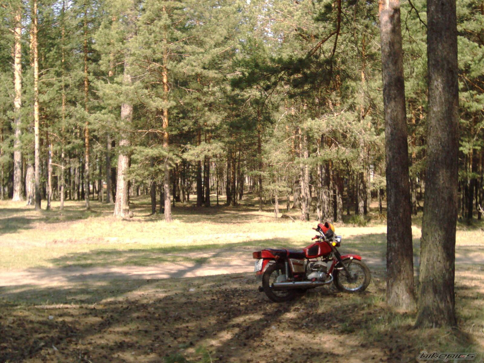 Photo 149820