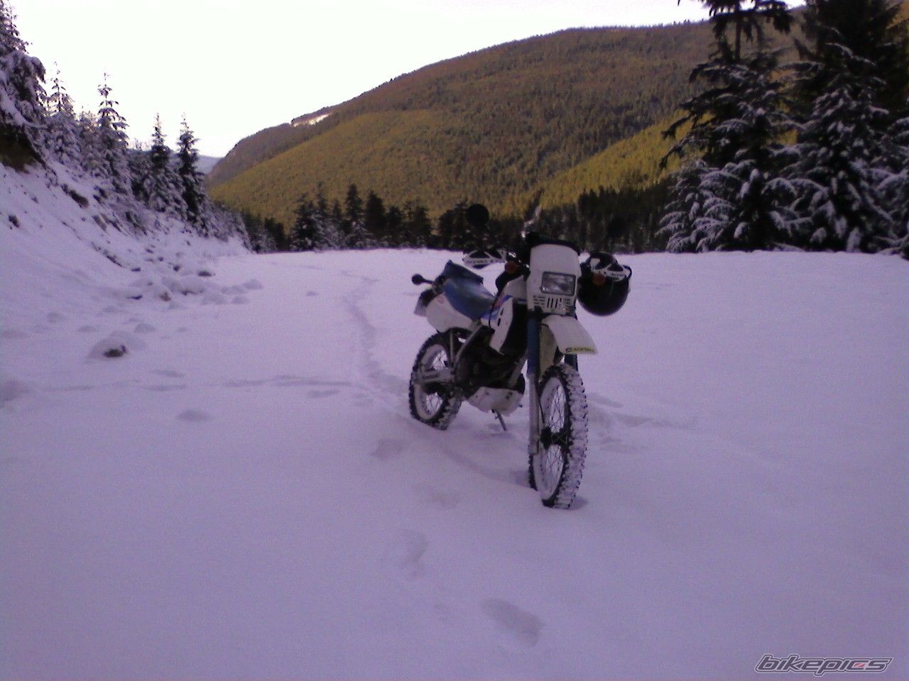 Photo 1498240