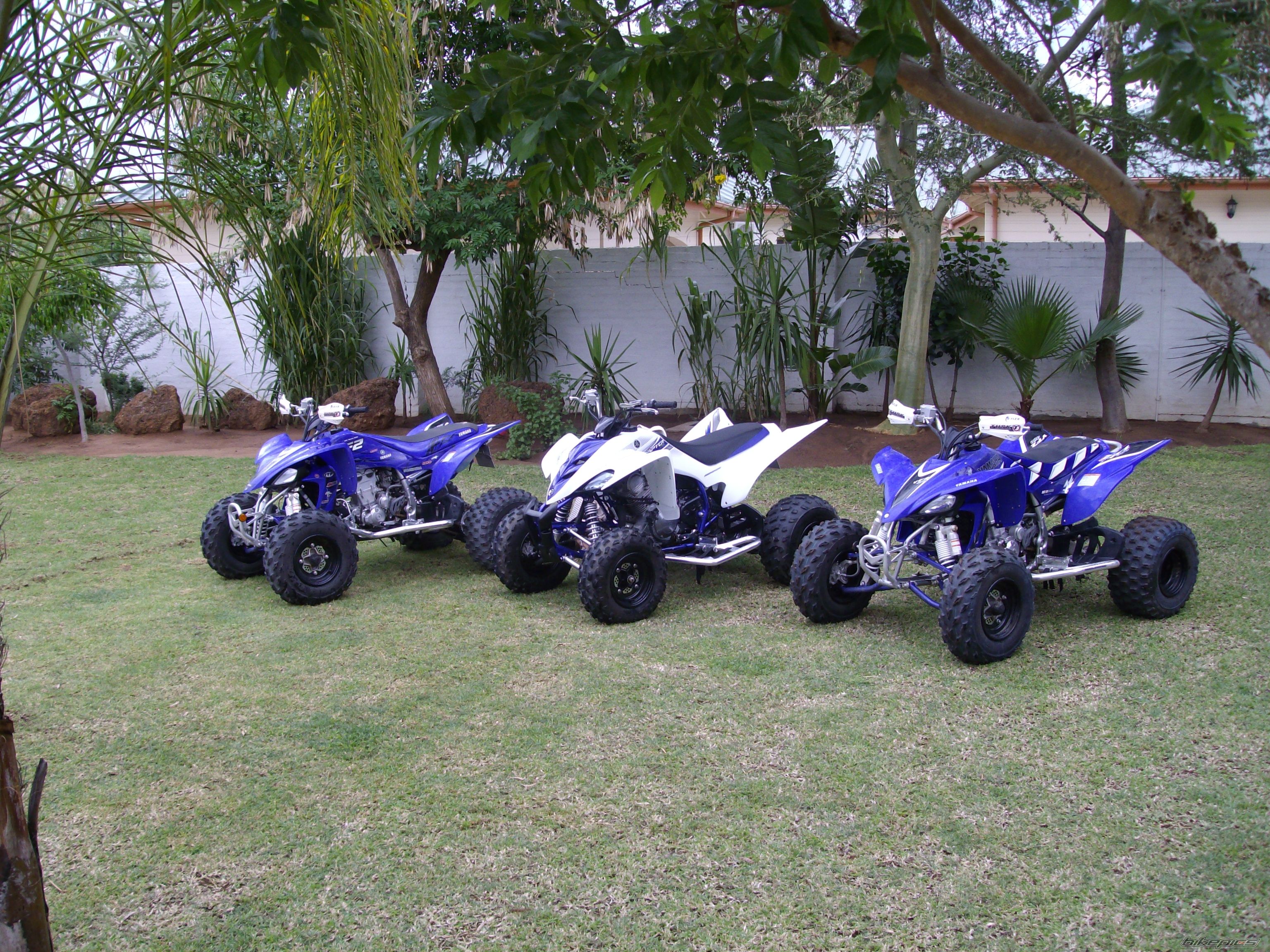 Photo 1498281