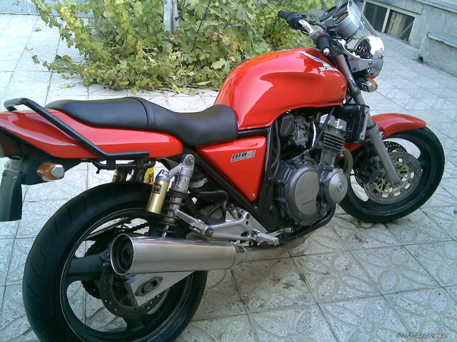 Photo 1498351