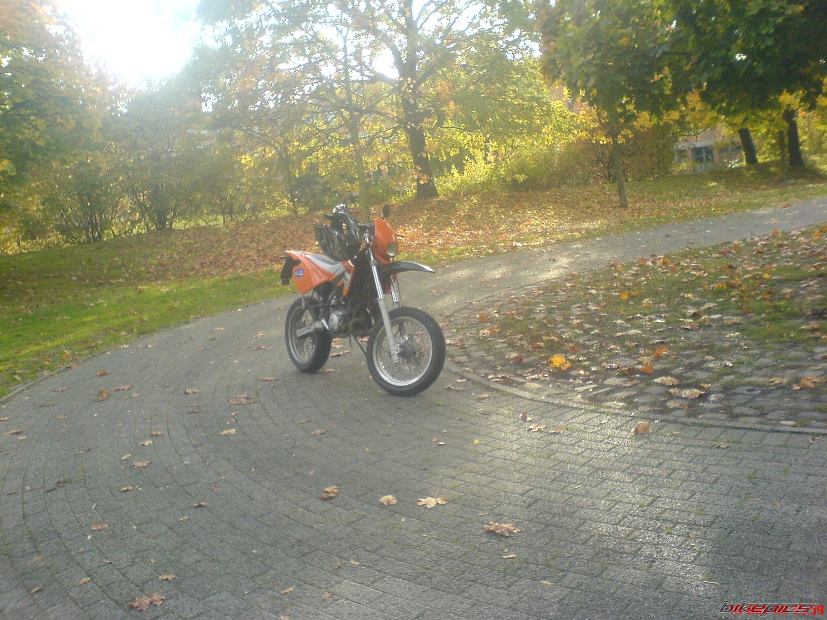 Bike Photo 1498390
