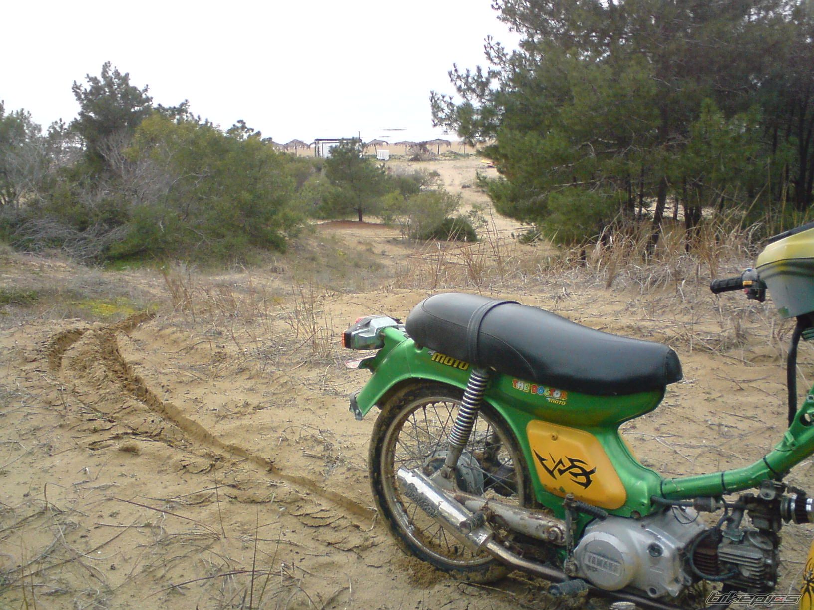 TA 125