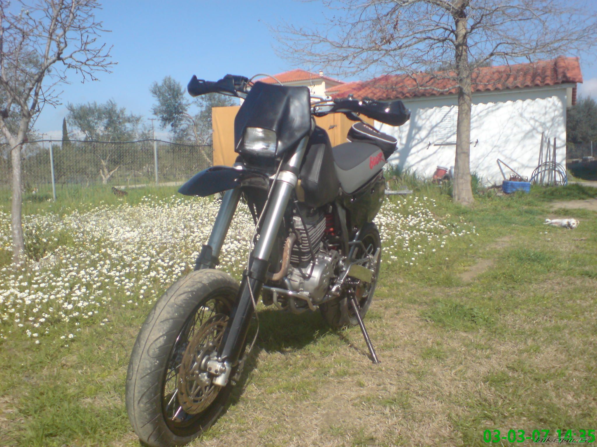 Photo 1498588