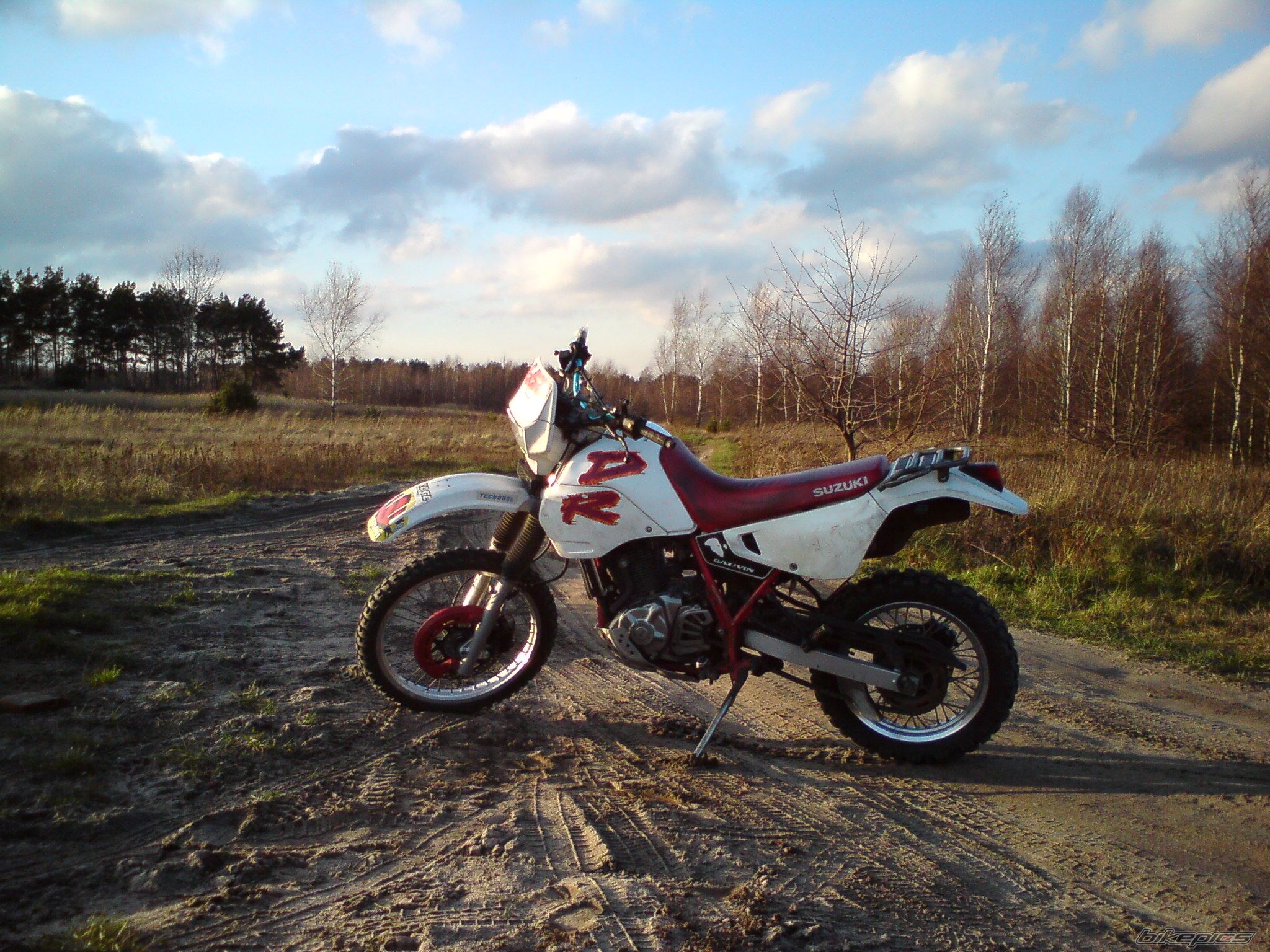 Photo 1498616
