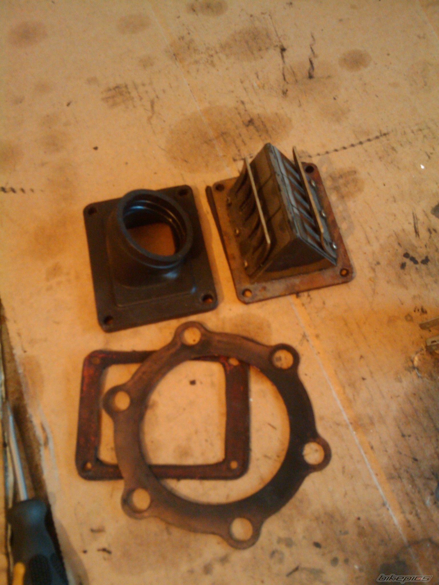 Photo 1498623
