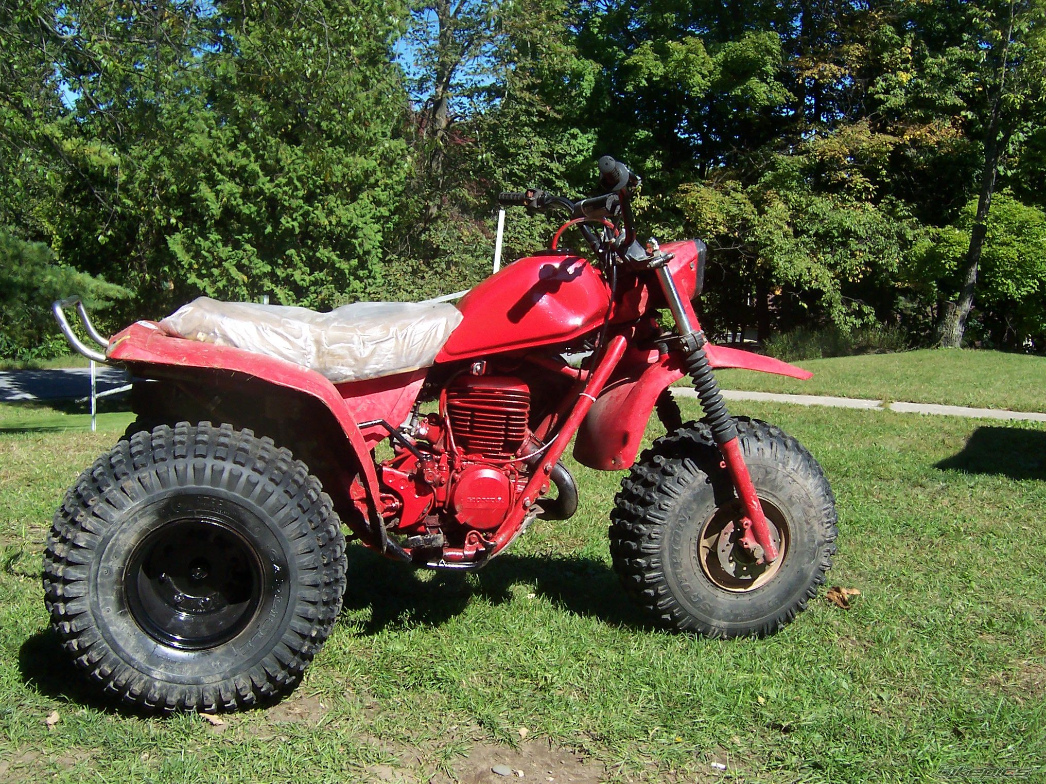 Photo 1498659
