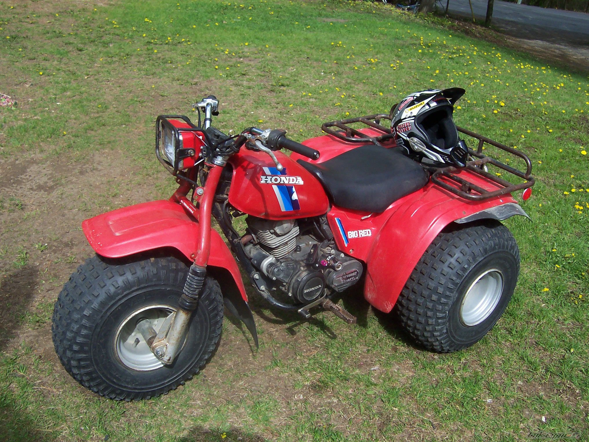 Photo 1498692