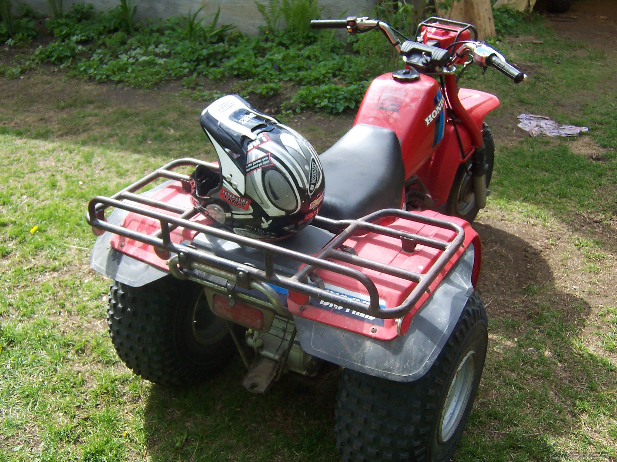 Photo 1498699
