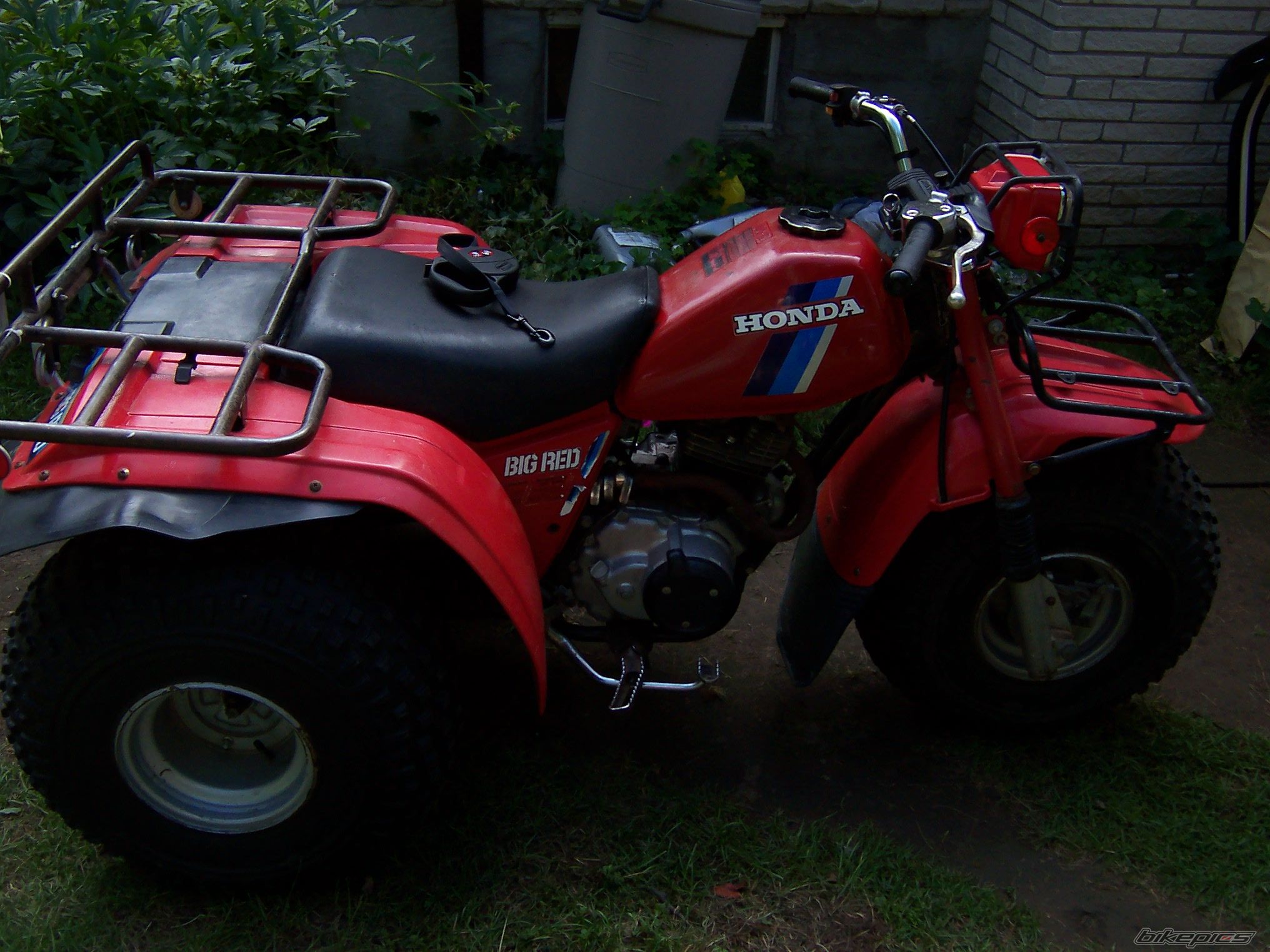 Photo 1498706