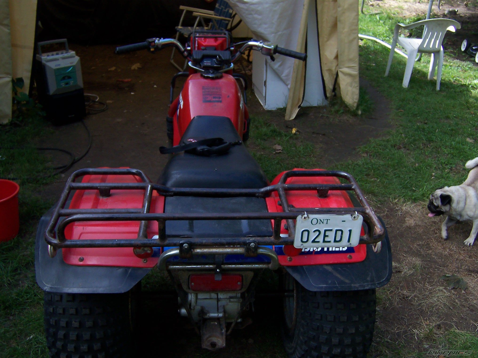 Photo 1498708