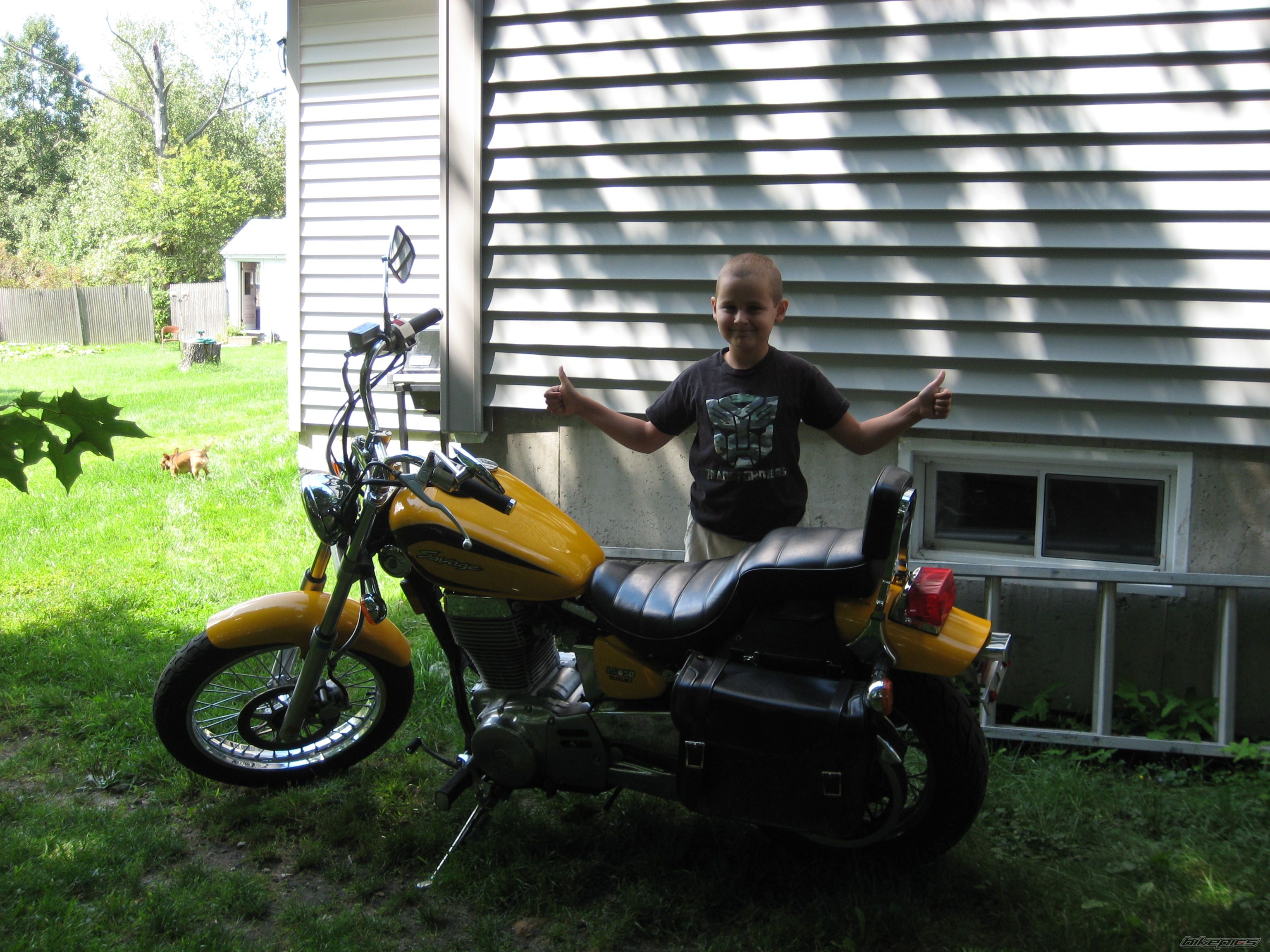 Photo 1498711