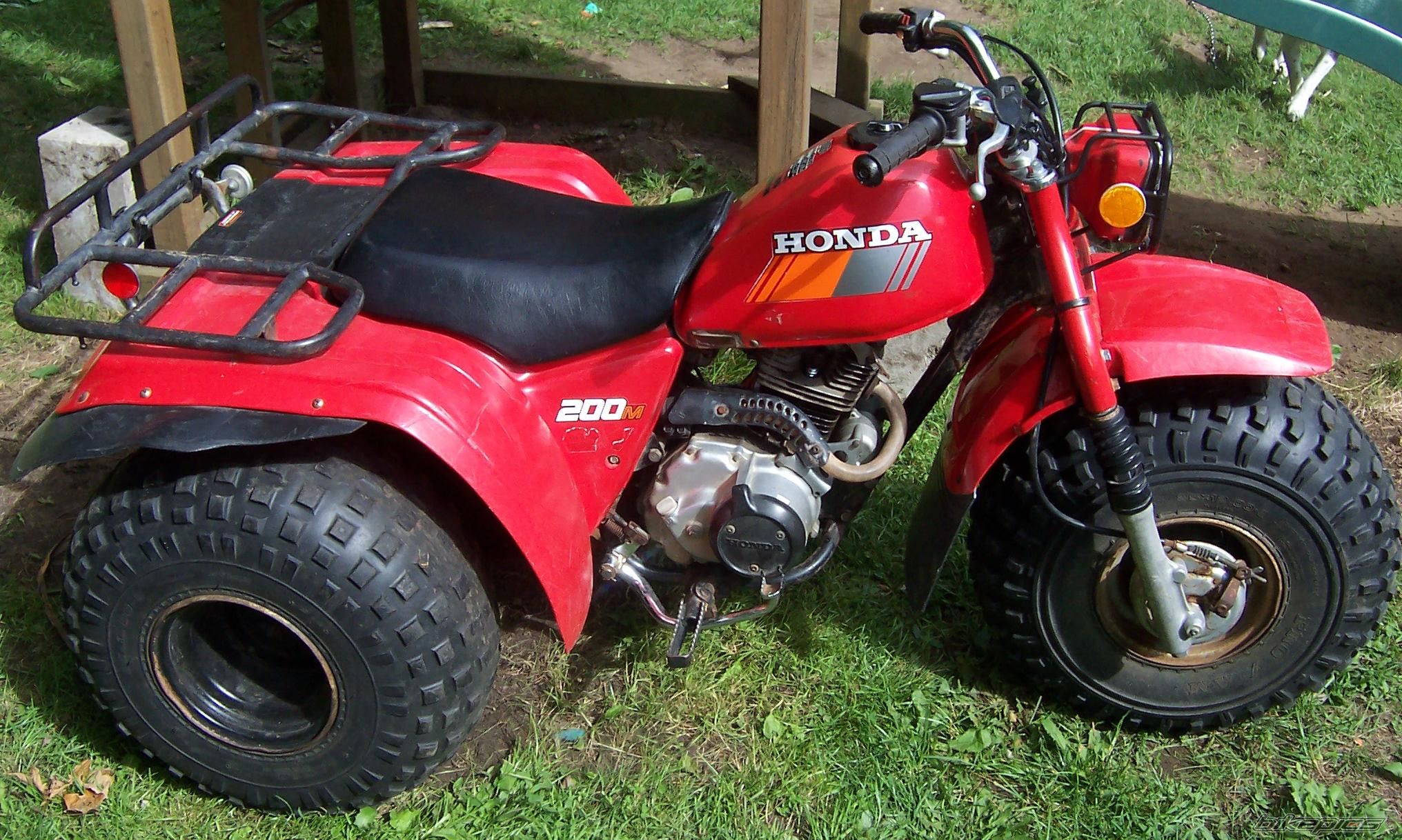 Photo 1498713