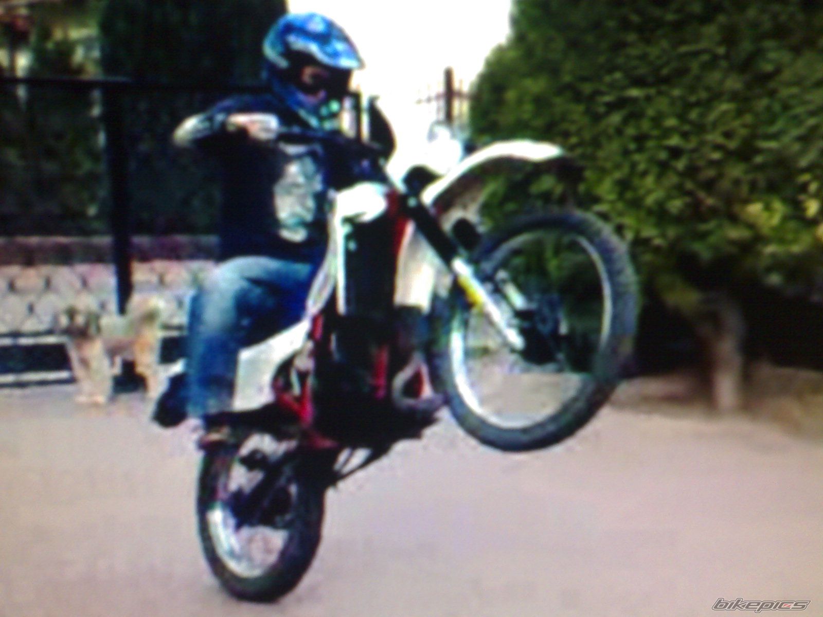 Photo 1498794