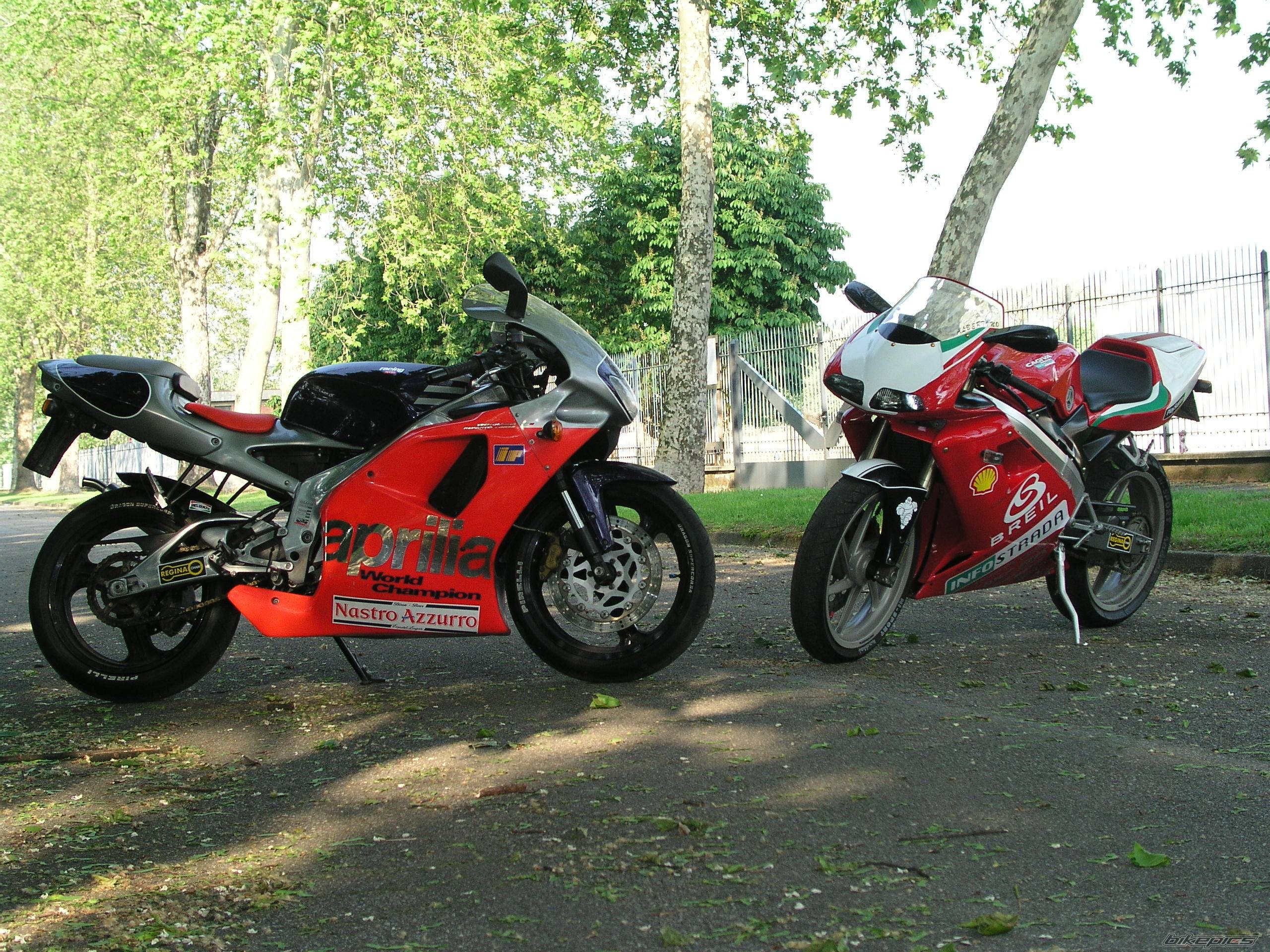 Photo 149880