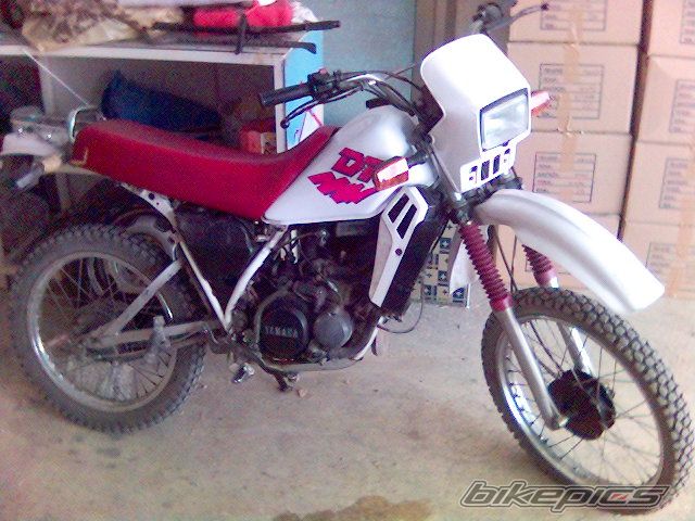 Photo 1498835