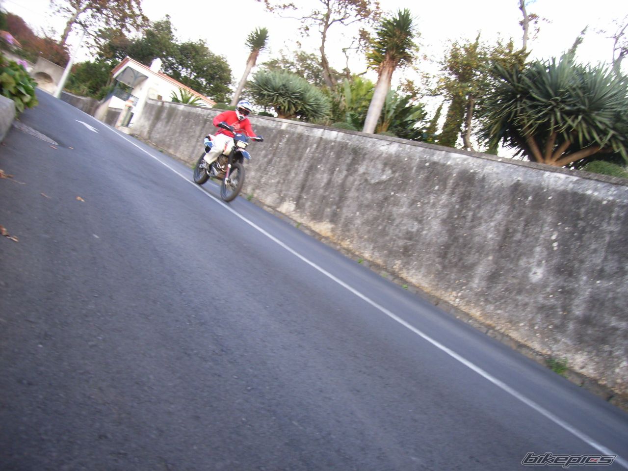 Photo 1498882