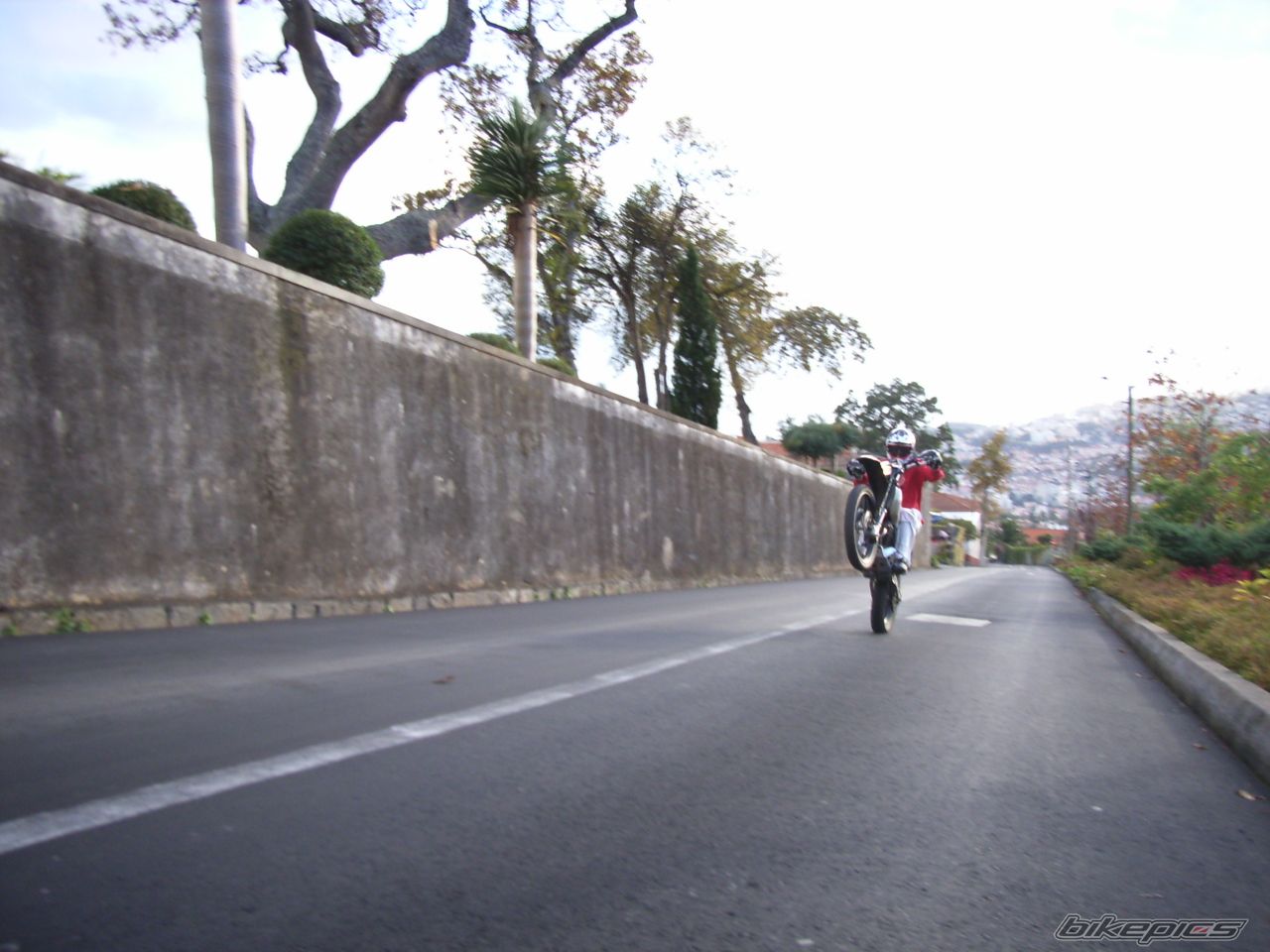 Photo 1498884