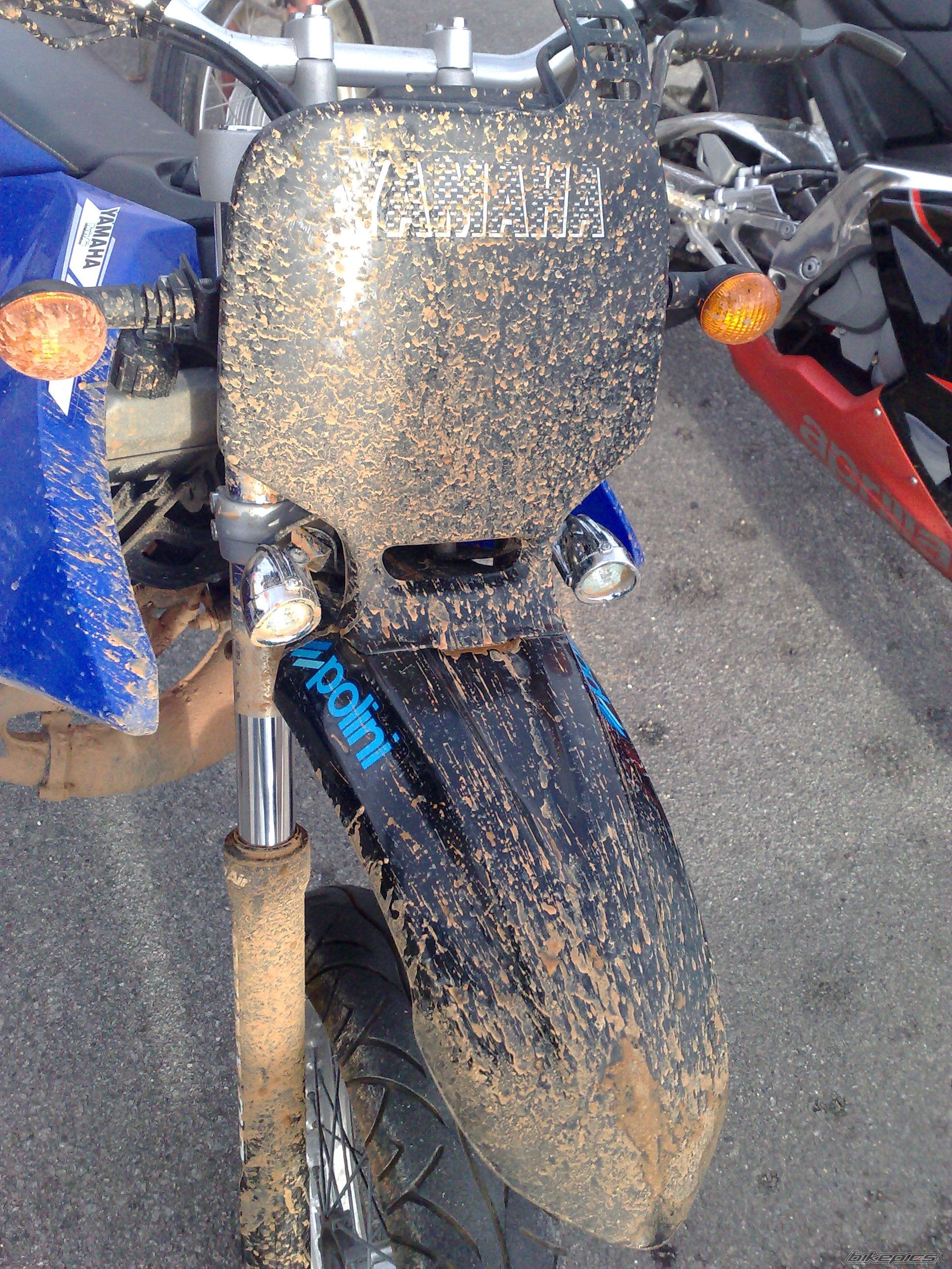 Photo 1499002