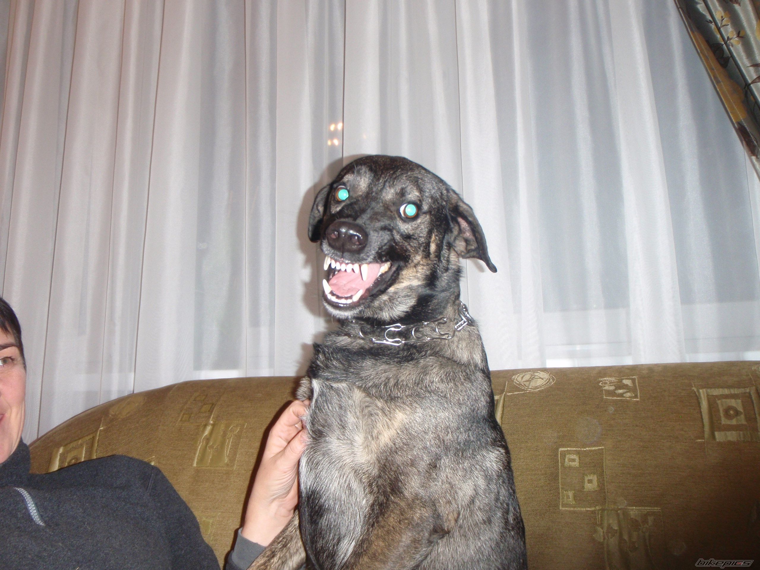 Photo 1499009