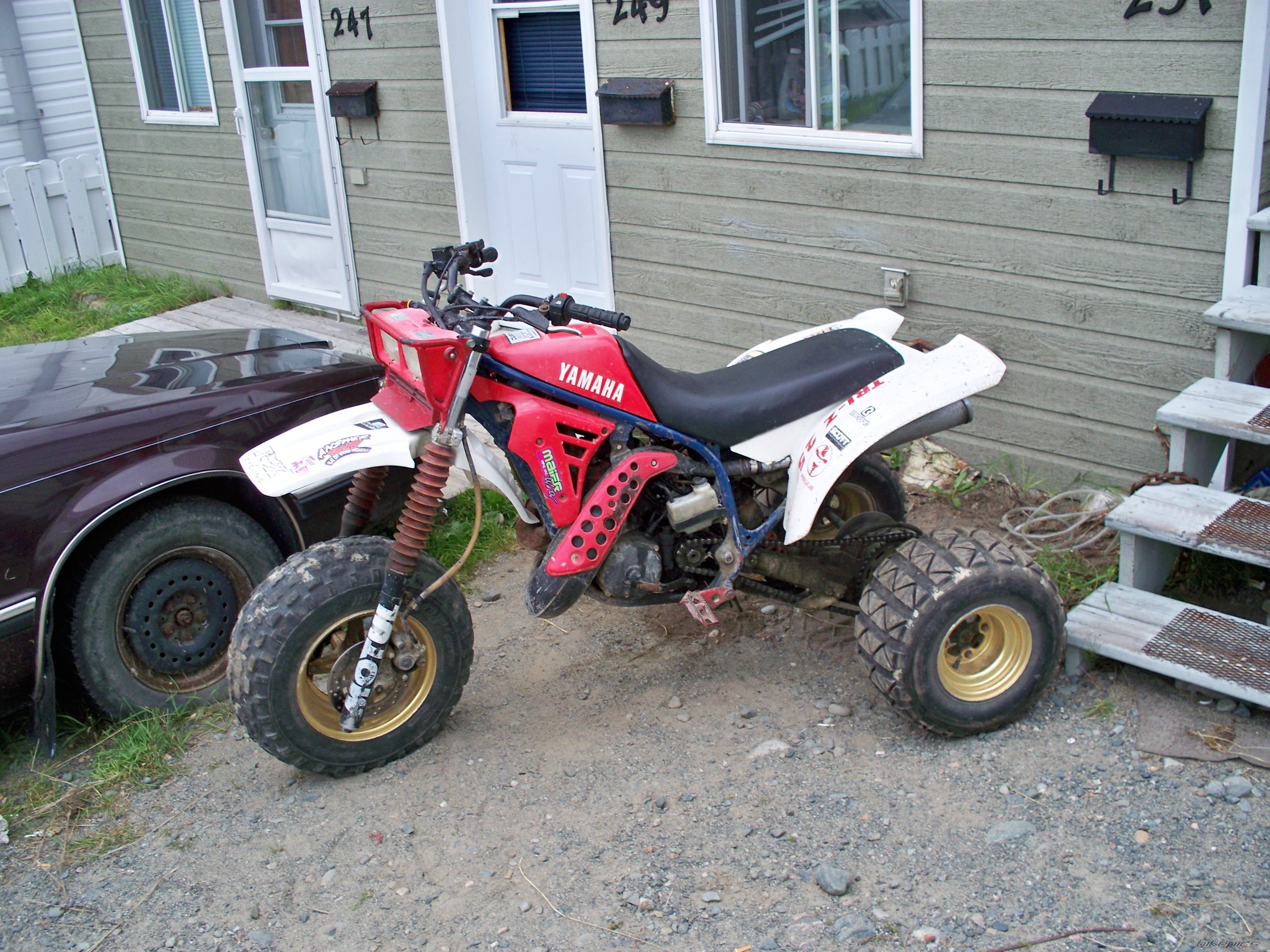 Photo 1499056