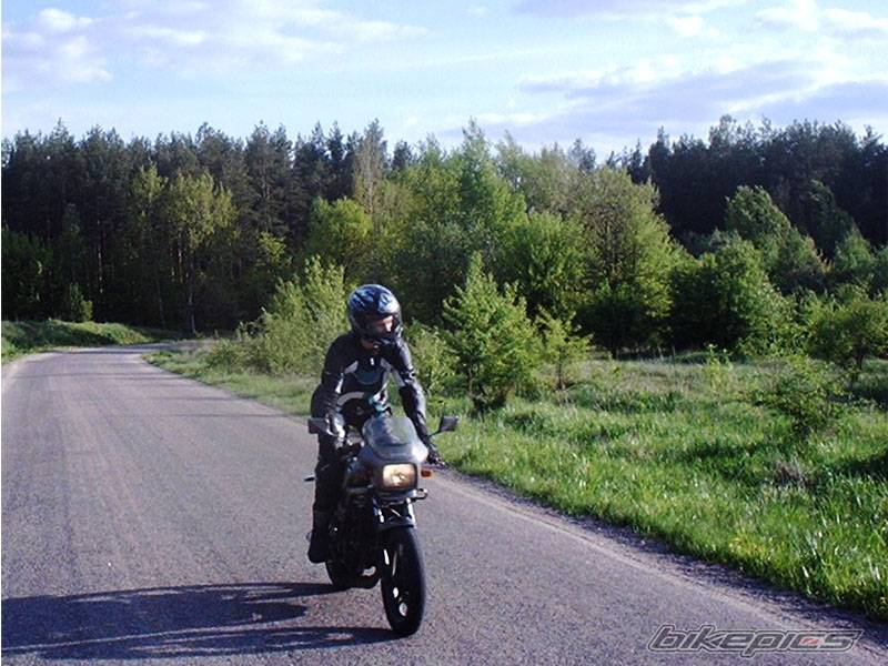 Photo 149909