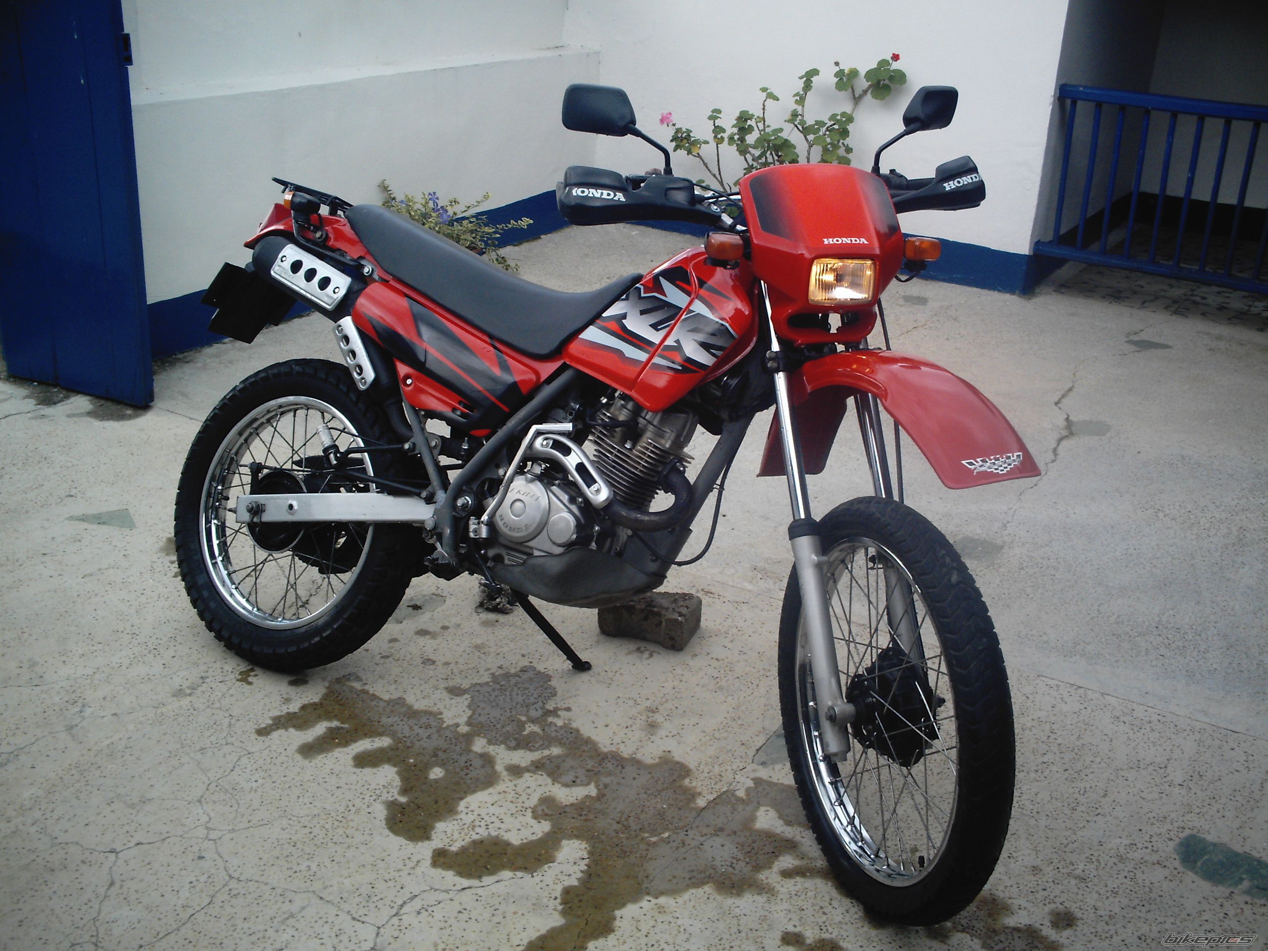 Photo 1499119