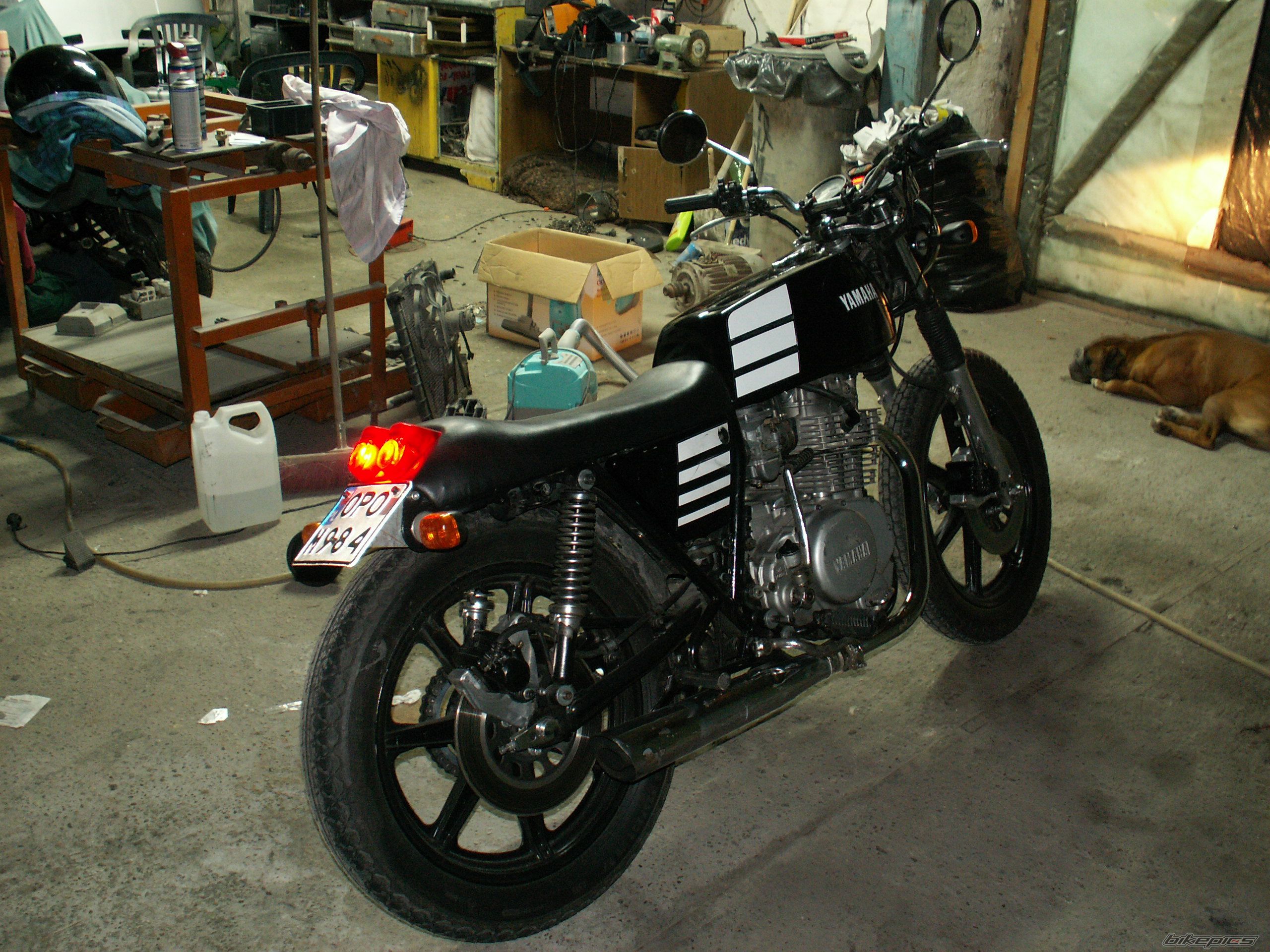 Photo 1499434