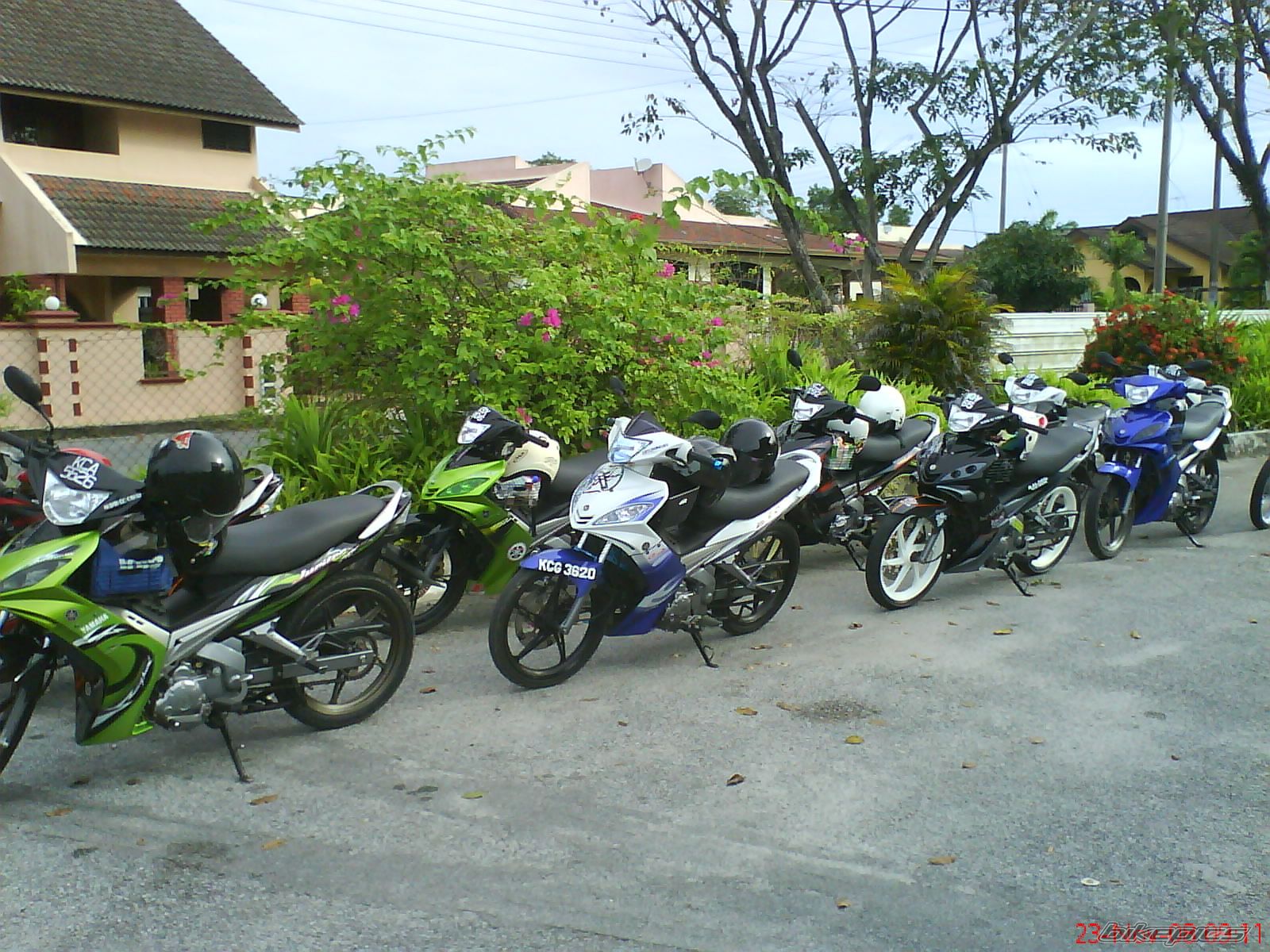 Photo 1499490