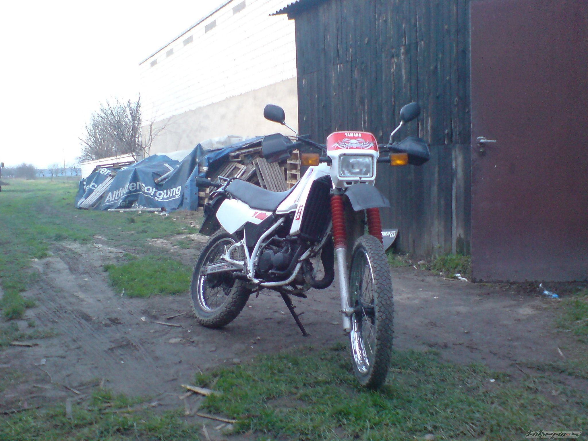 Photo 1499499
