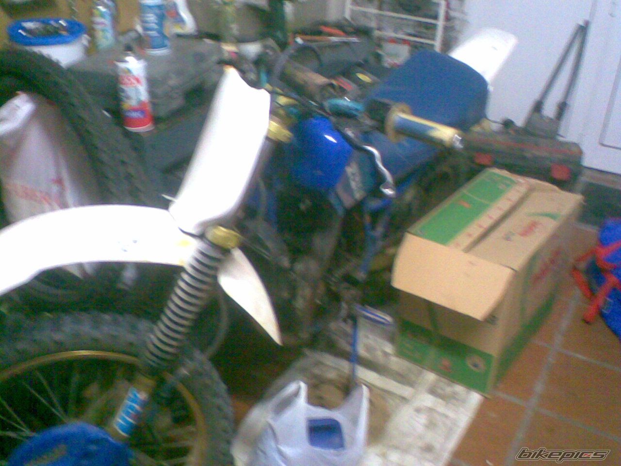 Photo 1499508