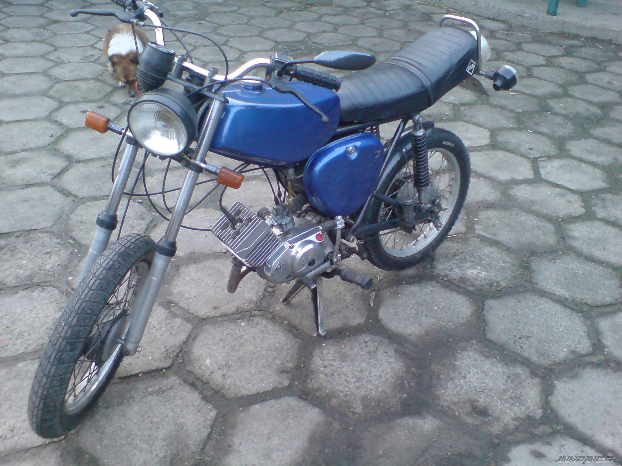 Photo 1499530