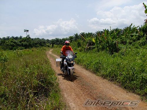 Photo 1499616