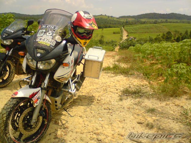 Photo 1499629