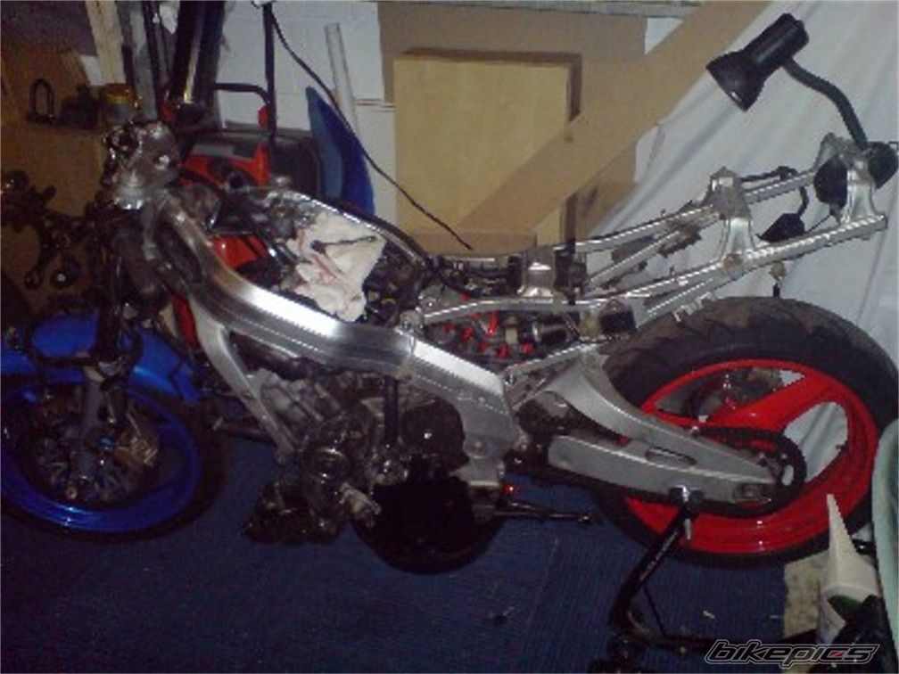 Photo 1499847