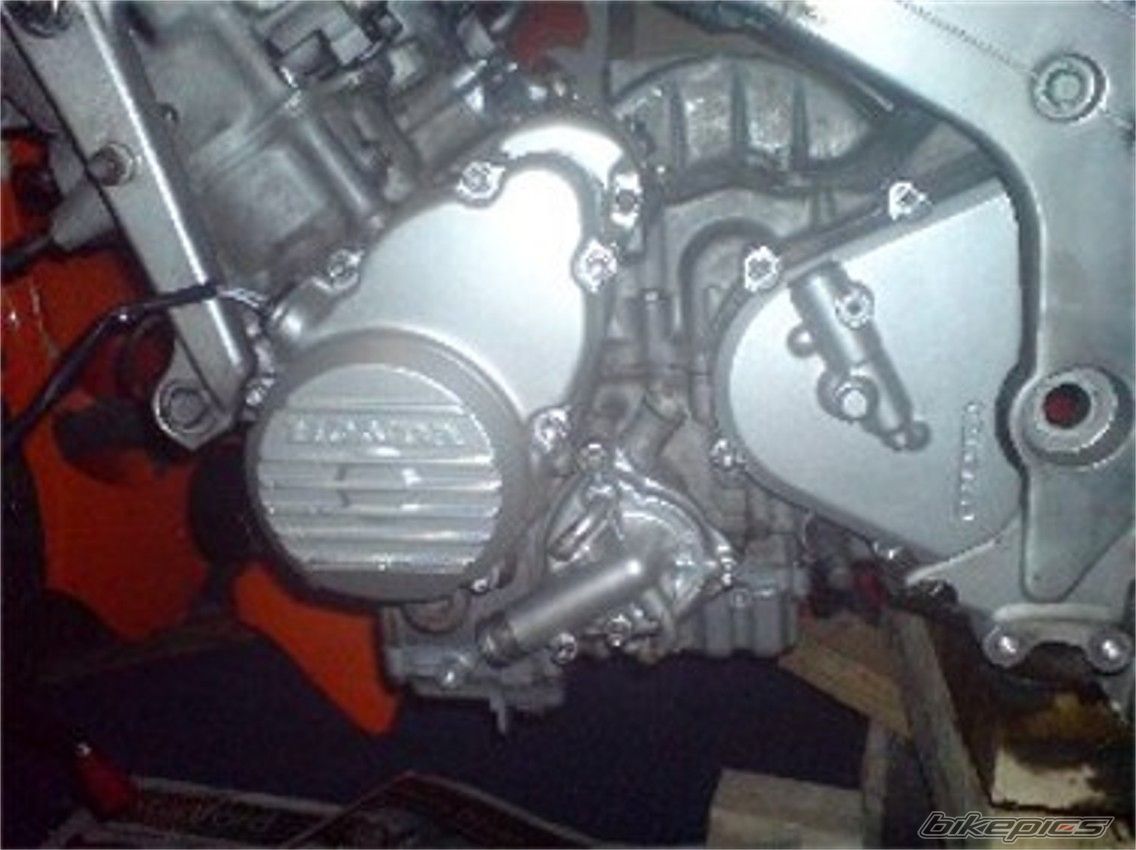 Photo 1499868